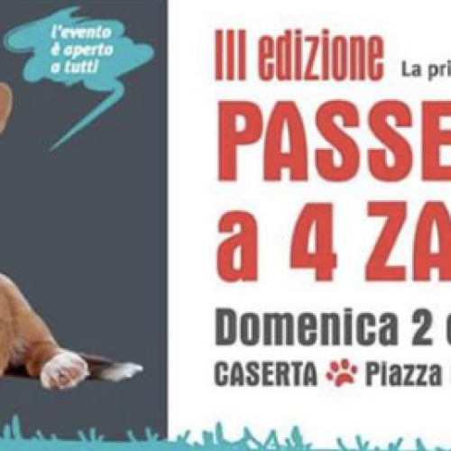 In passerella con il tuo cane per solidarietà