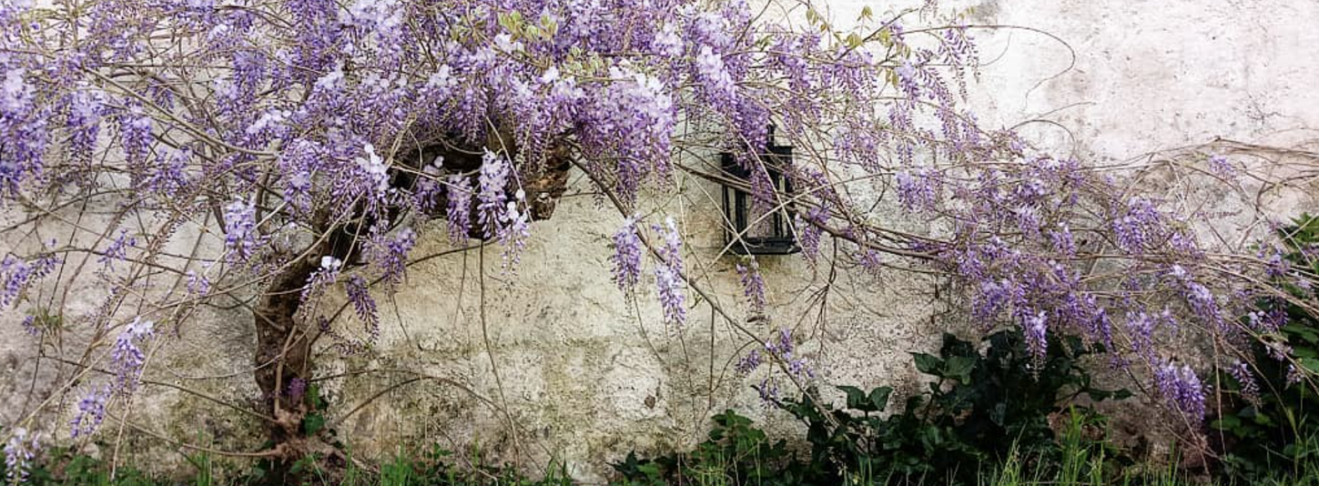 A Roccaromana c’è un giardino segreto, con tanta musica