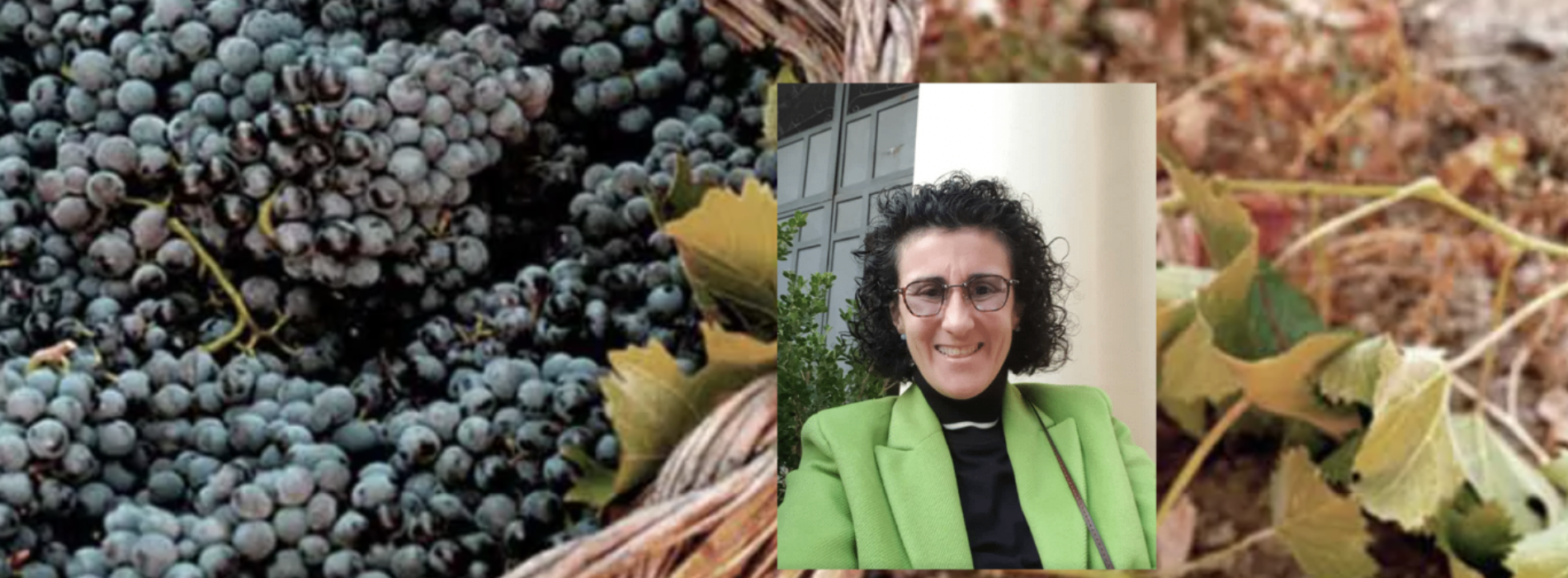 Il vino naturale, uno studio della ricercatrice Nadia Palmieri