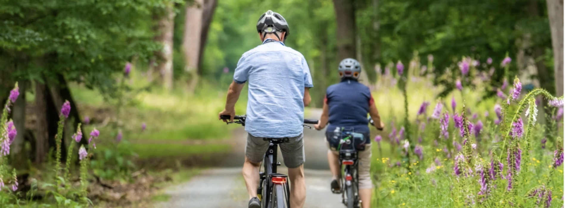 Tutti in bicicletta! Oggi si celebra la Giornata Mondiale