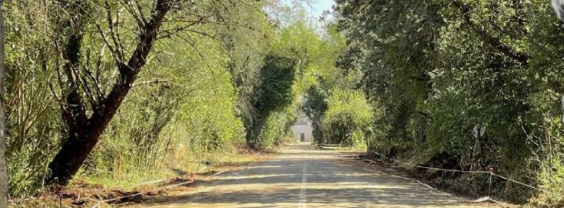 Campo Laudato Sì – ex Macrico, appello per ricerca volontari