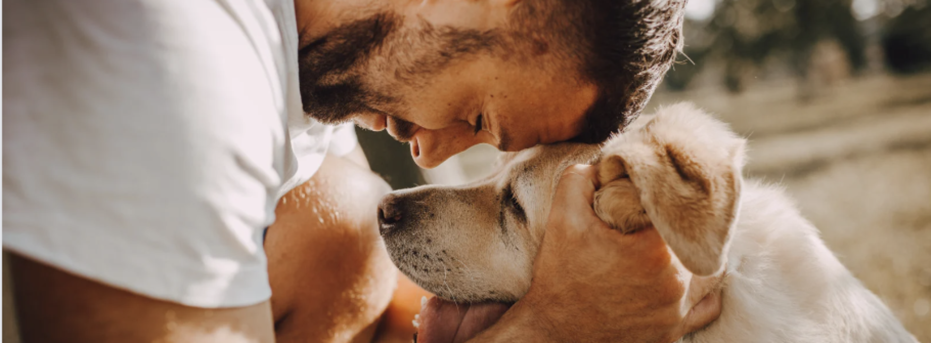 26 agosto. Giornata del Cane, per chi li ama è sempre dog day