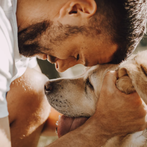 26 agosto. Giornata del Cane, per chi li ama è sempre dog day