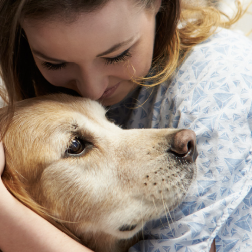 Pet Therapy, quando l’amore per gli animali può curare