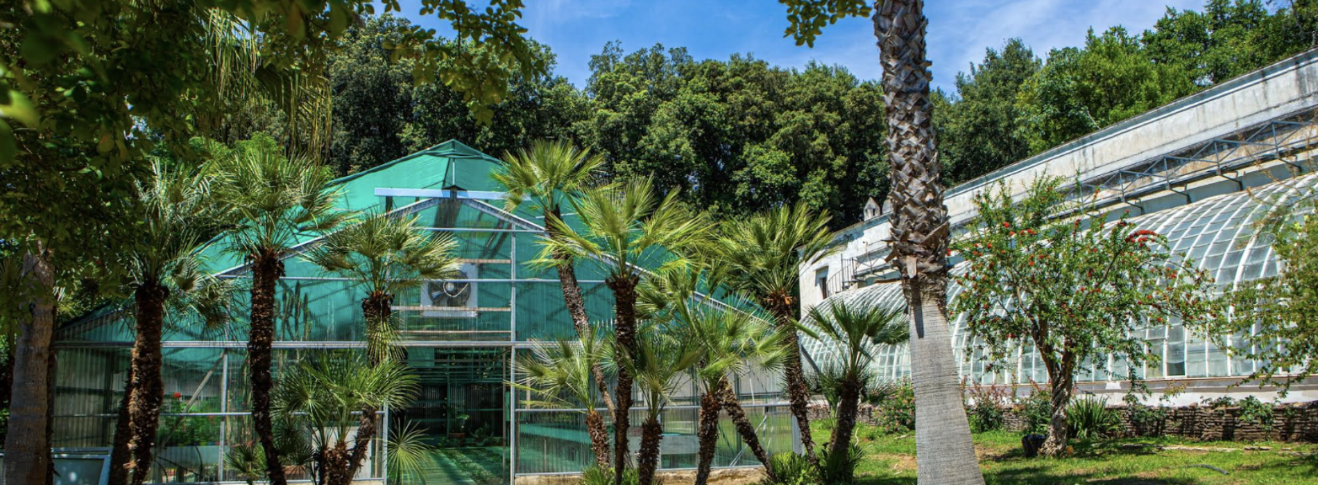 Reggia, riapertura delle serre di Graefer nel Giardino Inglese