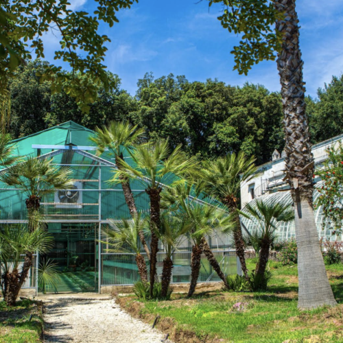 Reggia, riapertura delle serre di Graefer nel Giardino Inglese