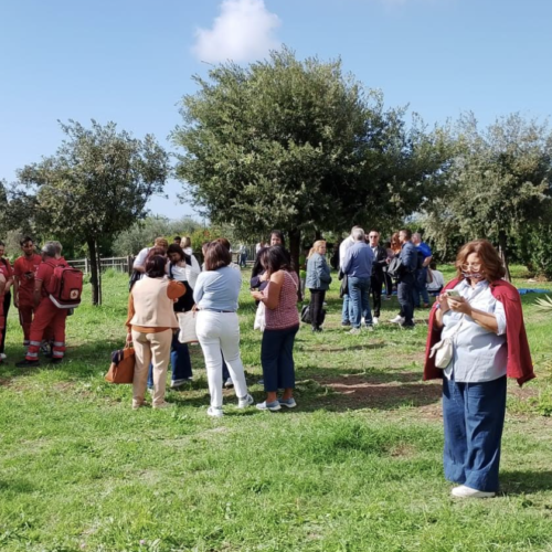 Sabap. Giornata delle famiglie al Museo, in tanti a Mondragone e Cellole