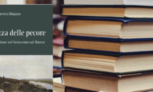 La ricchezza delle pecore. Il libro di Alberico Bojano da Pacifico