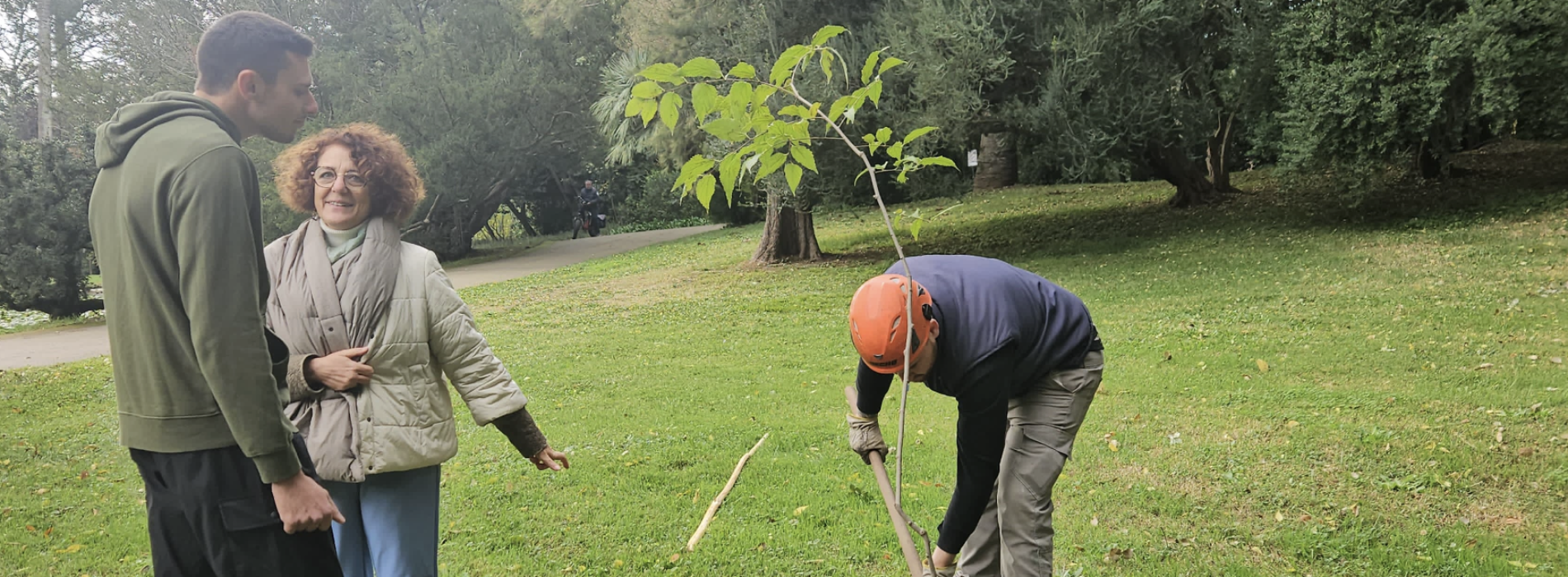 Giornata degli Alberi, nuove piantumazioni al Giardino Inglese