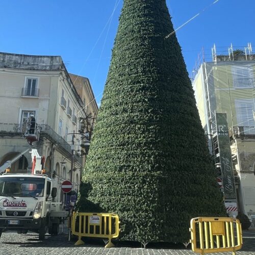 Natale a Caserta, ecco l’accensione dell’albero in piazza Dante