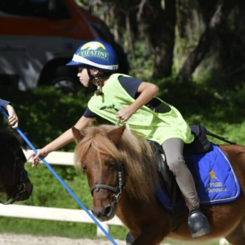 Pony Games, al centro Ippico I Tifatini lo stage della Fise Campania