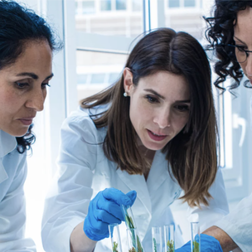 Donne e ragazze nella scienza, è la giornata internazionale