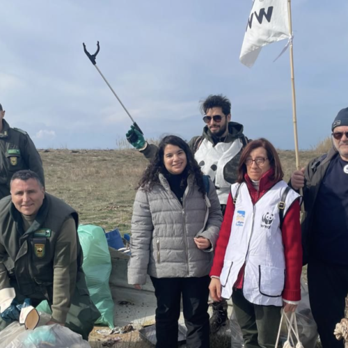 Spiagge e monitoraggio dei rifiuti continua l’impegno del Wwf