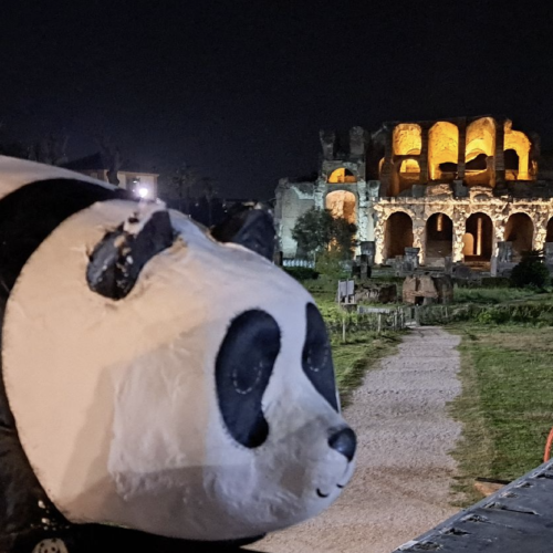 Earth Hour. Bene l’evento del Wwf a favore dell’ambiente